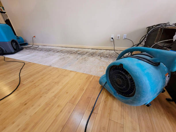 Professional Flood Damage Cleanup technician working in Rehoboth, MA